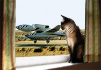 Pastel image of Madeline the Cat and SpaceShipOne.